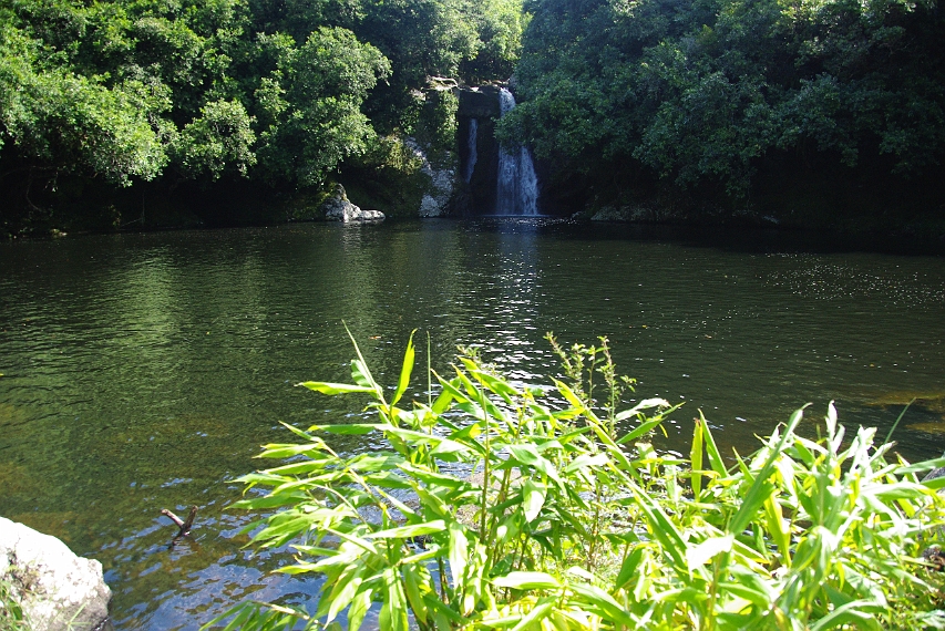 Bassin Boeuf/Riviere SteSuzanne 'Bassin Boeuf' (16)